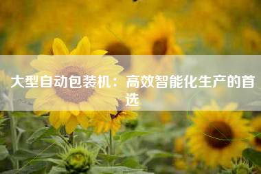 大型自动包装机：高效智能化生产的首选