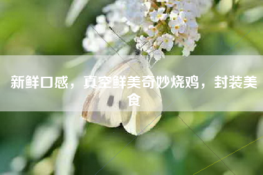 新鲜口感，真空鲜美奇妙烧鸡，封装美食