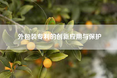 外包装专利的创新应用与保护