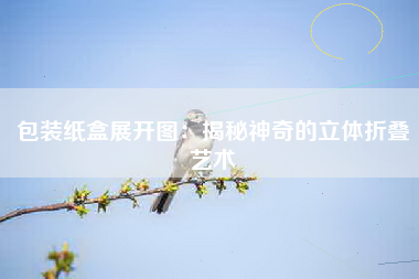 包装纸盒展开图：揭秘神奇的立体折叠艺术