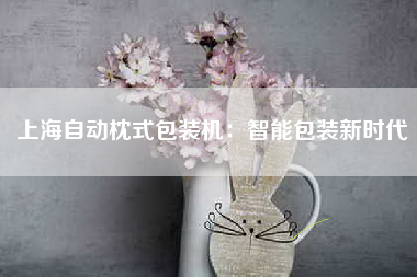 上海自动枕式包装机：智能包装新时代