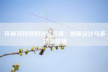 环保可持续的包装纸袋：创新设计与多功能应用