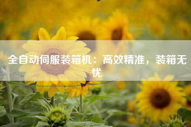 全自动伺服装箱机：高效精准，装箱无忧