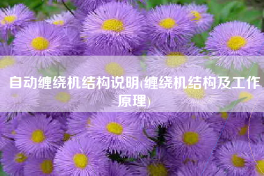 自动缠绕机结构说明(缠绕机结构及工作原理)
