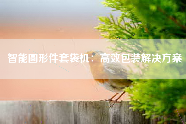 智能圆形件套袋机：高效包装解决方案