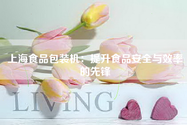 上海食品包装机：提升食品安全与效率的先锋