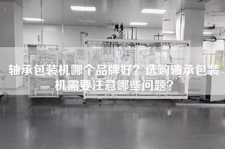 轴承包装机哪个品牌好？选购轴承包装机需要注意哪些问题？