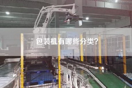 包装机有哪些分类？