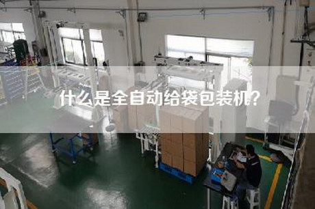 什么是全自动给袋包装机？
