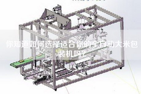 你知道如何选择适合你的全自动大米包装机吗？