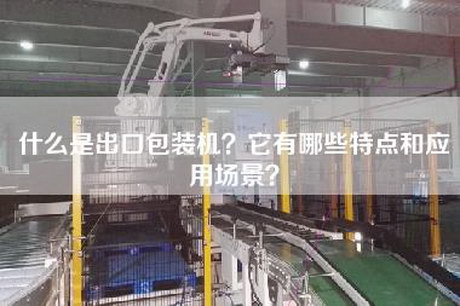 什么是出口包装机？它有哪些特点和应用场景？