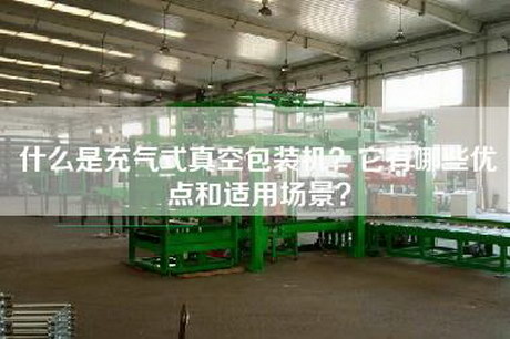 什么是充气式真空包装机？它有哪些优点和适用场景？