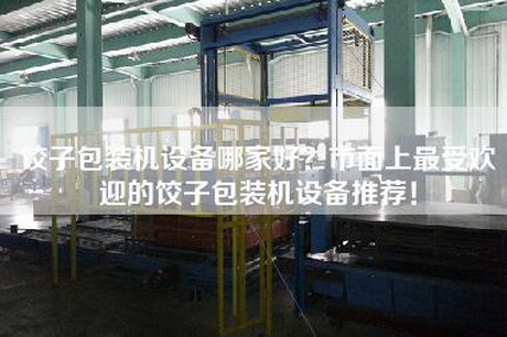 饺子包装机设备哪家好？市面上最受欢迎的饺子包装机设备推荐！