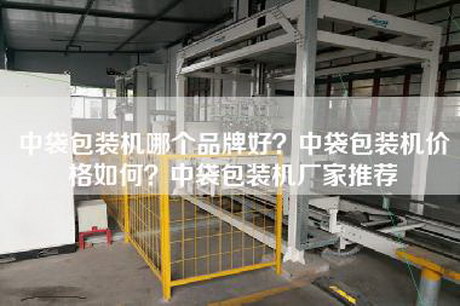 中袋包装机哪个品牌好？中袋包装机价格如何？中袋包装机厂家推荐