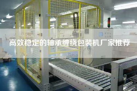 高效稳定的轴承缠绕包装机厂家推荐