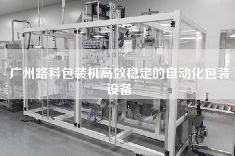 广州路科包装机高效稳定的自动化包装设备