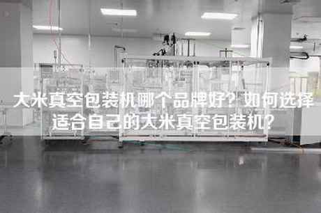 大米真空包装机哪个品牌好？如何选择适合自己的大米真空包装机？