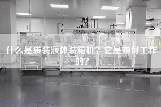 什么是袋装液体装箱机？它是如何工作的？