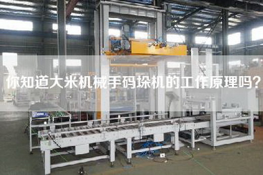 你知道大米机械手码垛机的工作原理吗？