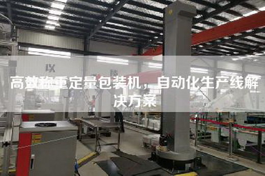 高效称重定量包装机，自动化生产线解决方案