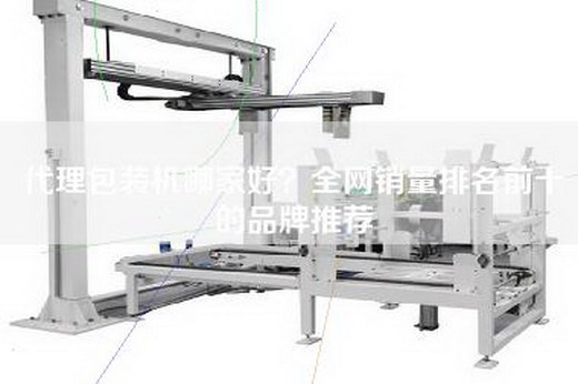 代理包装机哪家好？全网销量排名前十的品牌推荐