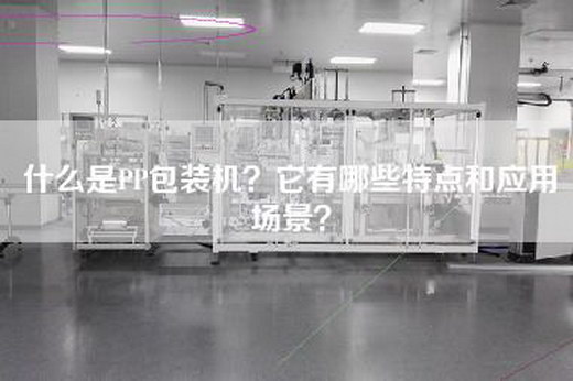 什么是PP包装机？它有哪些特点和应用场景？