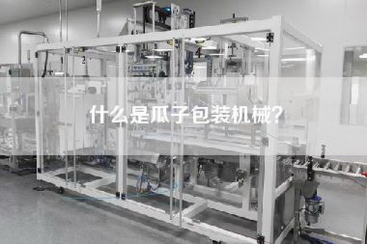什么是瓜子包装机械？