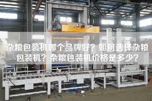 杂粮包装机哪个品牌好？如何选择杂粮包装机？杂粮包装机价格是多少？