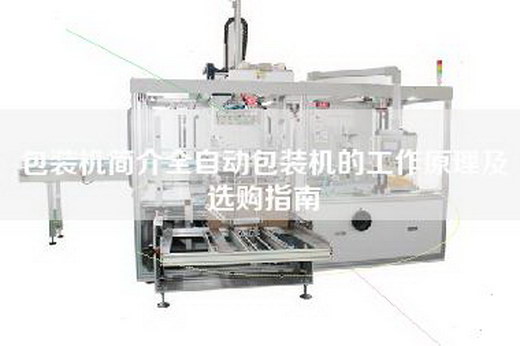 包装机简介全自动包装机的工作原理及选购指南