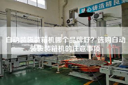 自动装袋装箱机哪个品牌好？选购自动装袋装箱机的注意事项