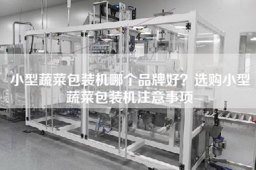 小型蔬菜包装机哪个品牌好？选购小型蔬菜包装机注意事项