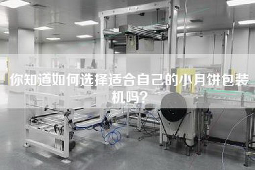 你知道如何选择适合自己的小月饼包装机吗？