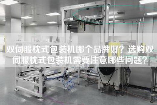 双伺服枕式包装机哪个品牌好？选购双伺服枕式包装机需要注意哪些问题？
