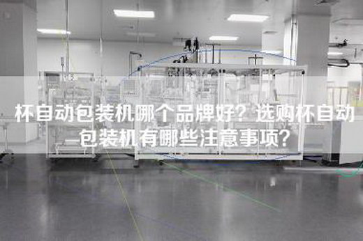 杯自动包装机哪个品牌好？选购杯自动包装机有哪些注意事项？