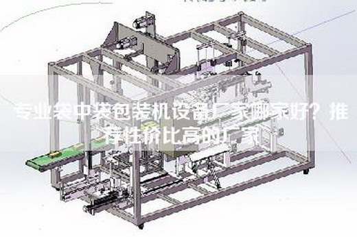 专业袋中袋包装机设备厂家哪家好？推荐性价比高的厂家