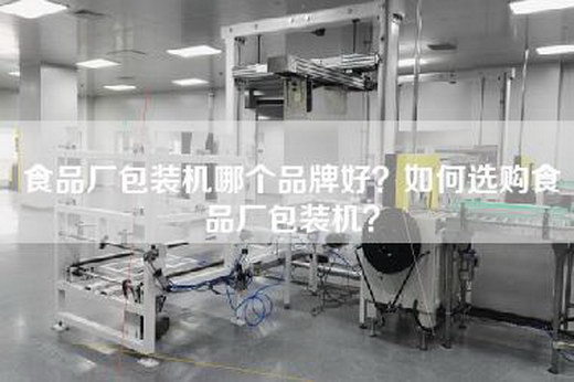食品厂包装机哪个品牌好？如何选购食品厂包装机？