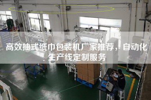 高效抽式纸巾包装机厂家推荐，自动化生产线定制服务