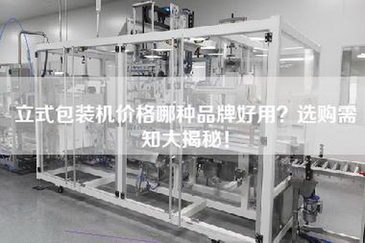 立式包装机价格哪种品牌好用？选购需知大揭秘！