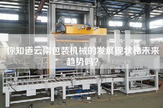你知道云南包装机械的发展现状和未来趋势吗？