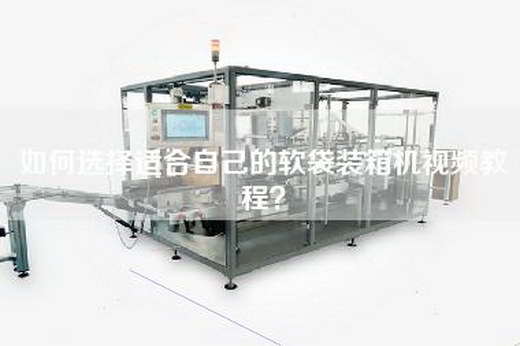 如何选择适合自己的软袋装箱机视频教程？