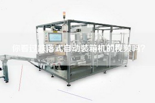 你看过跌落式自动装箱机的视频吗？