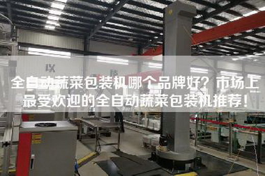 全自动蔬菜包装机哪个品牌好？市场上最受欢迎的全自动蔬菜包装机推荐！