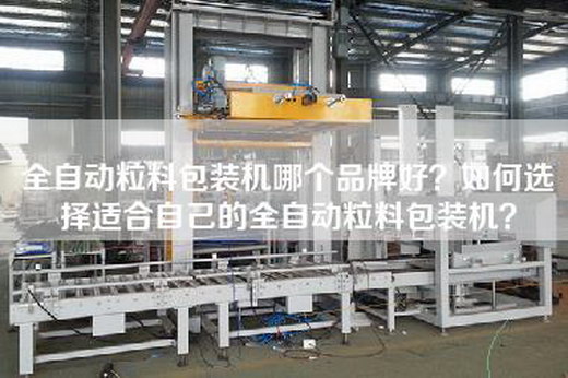 全自动粒料包装机哪个品牌好？如何选择适合自己的全自动粒料包装机？