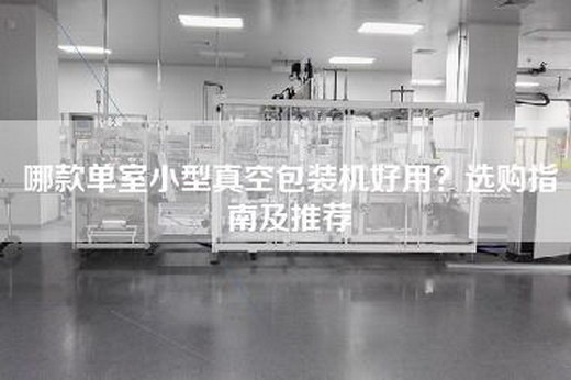 哪款单室小型真空包装机好用？选购指南及推荐