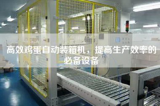高效鸡蛋自动装箱机，提高生产效率的必备设备