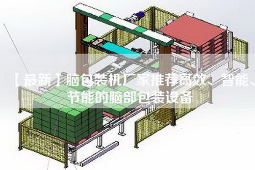 【最新】脑包装机厂家推荐高效、智能、节能的脑部包装设备