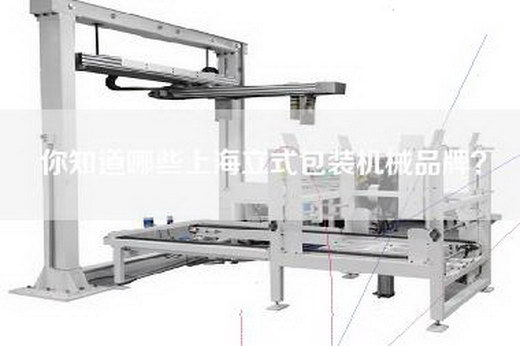 你知道哪些上海立式包装机械品牌？