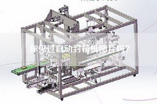 你见过自动封箱机图片吗？