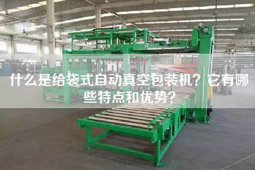 什么是给袋式自动真空包装机？它有哪些特点和优势？