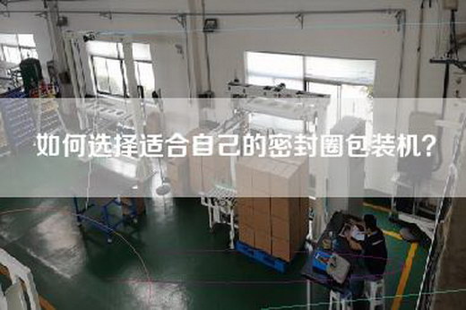如何选择适合自己的密封圈包装机？